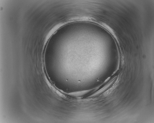 X0000069831389200605221156