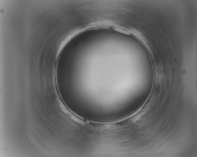 X0000069831390200605221156