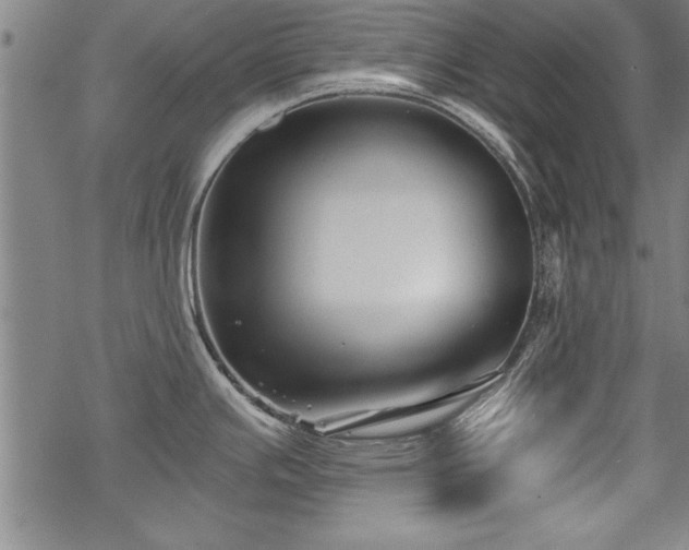 X0000069831391200605221156