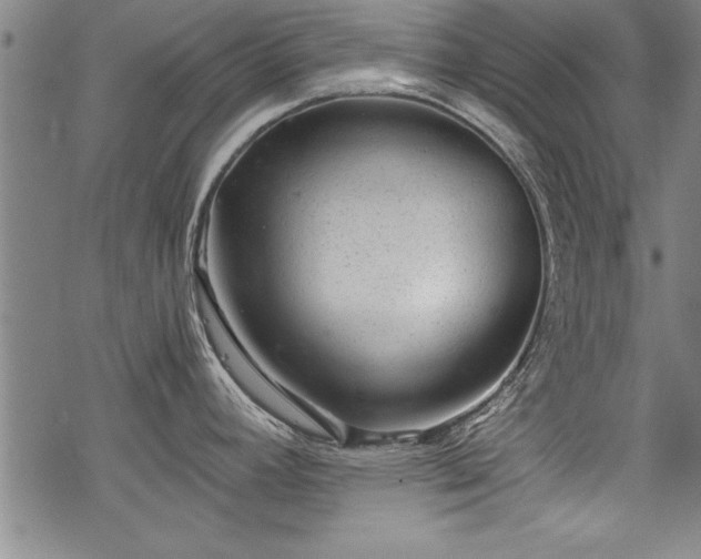 X0000069831392200605221156