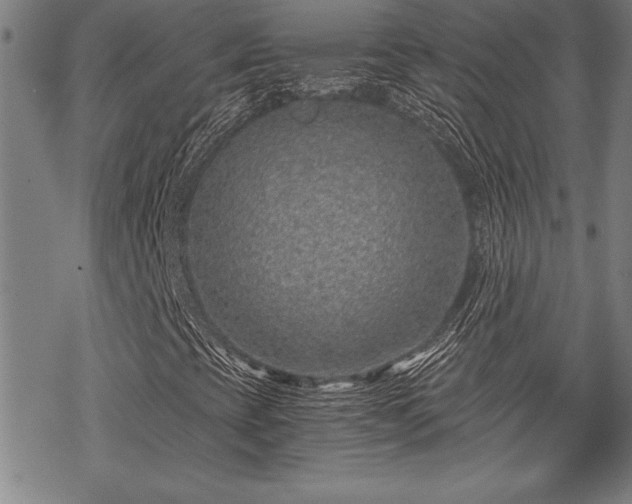 X0000069831393200605221155