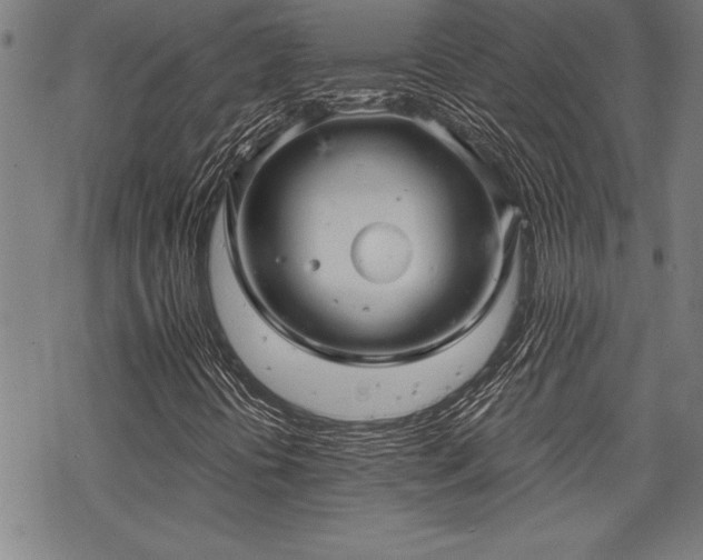 X0000069831394200605221155