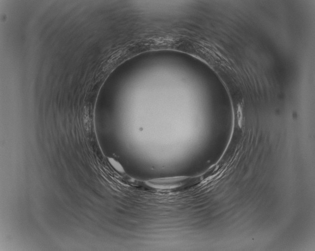 X0000069831395200605221155