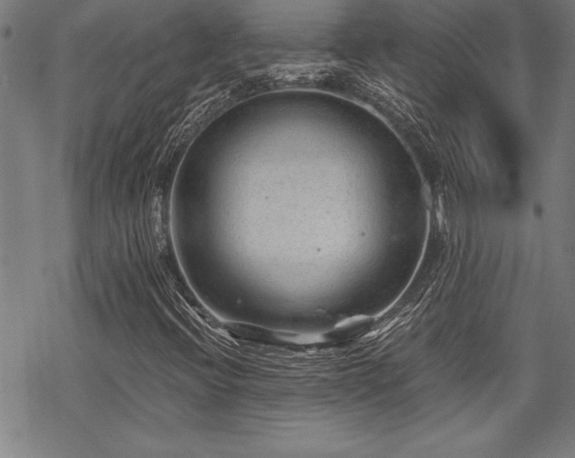 X0000069831396200605221155