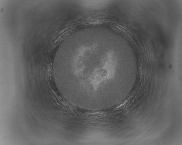 X0000069831397200605221155