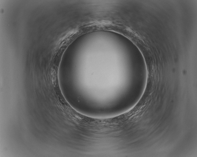 X0000069831398200605221155