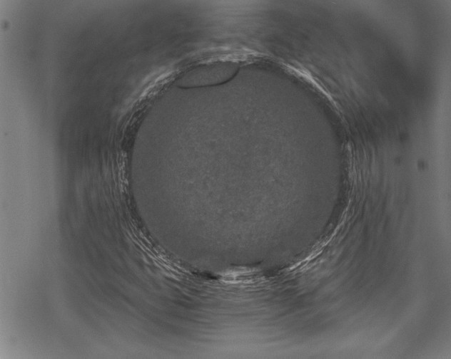 X0000069831399200605221155