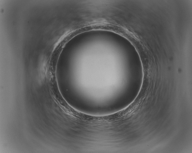 X0000069831400200605221155