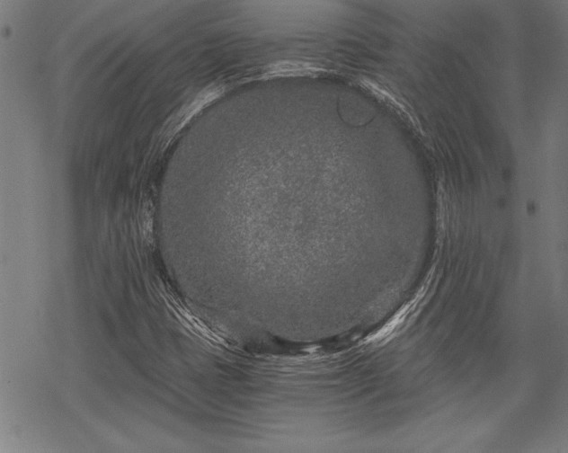 X0000069831401200605221155