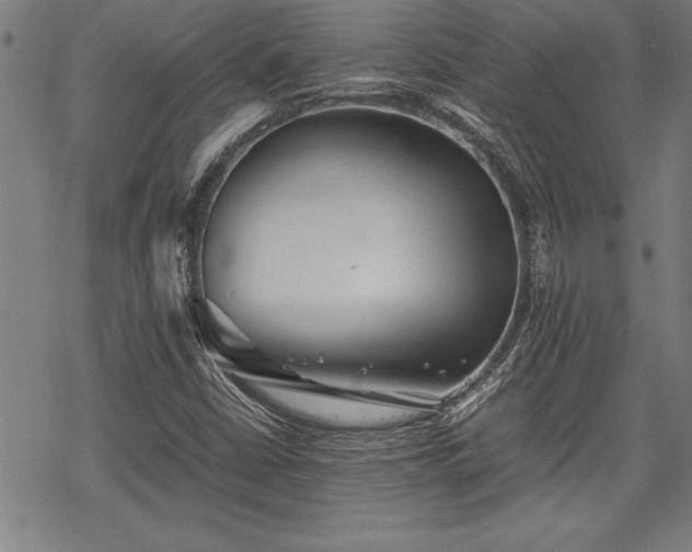 X0000069831402200605221155