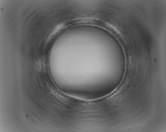 X0000069831403200605221155