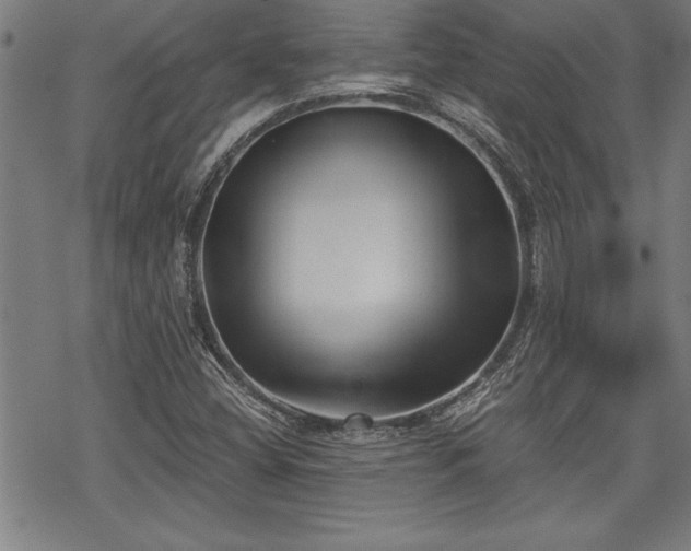 X0000069831404200605221155