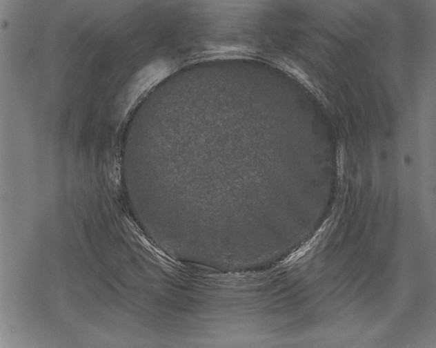 X0000069831405200605221155