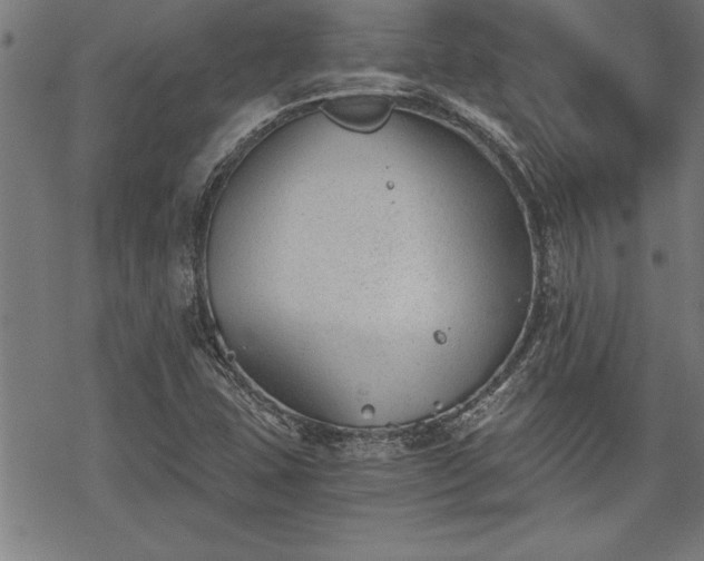 X0000069831407200605221155