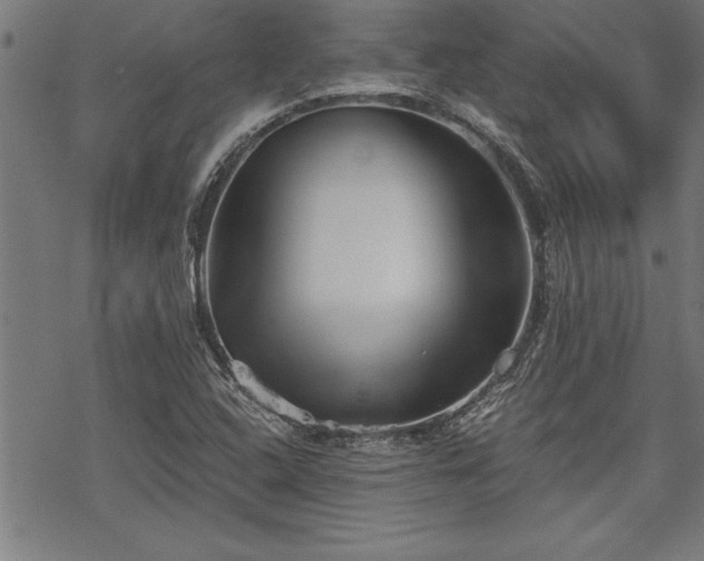 X0000069831408200605221155