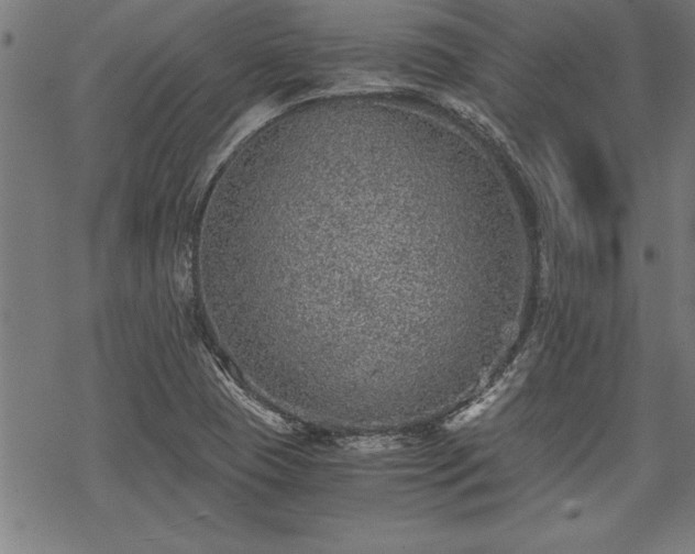 X0000069831409200605221155