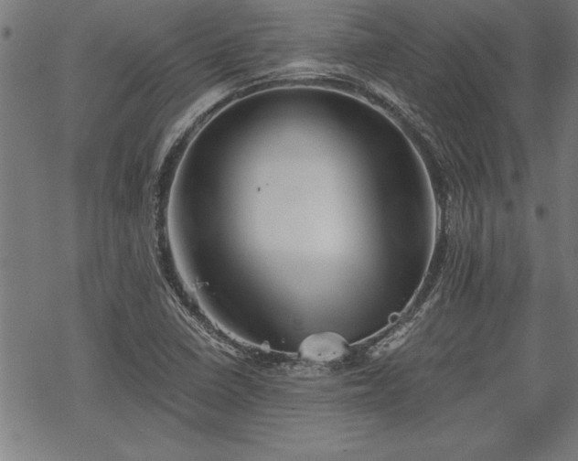 X0000069831410200605221155