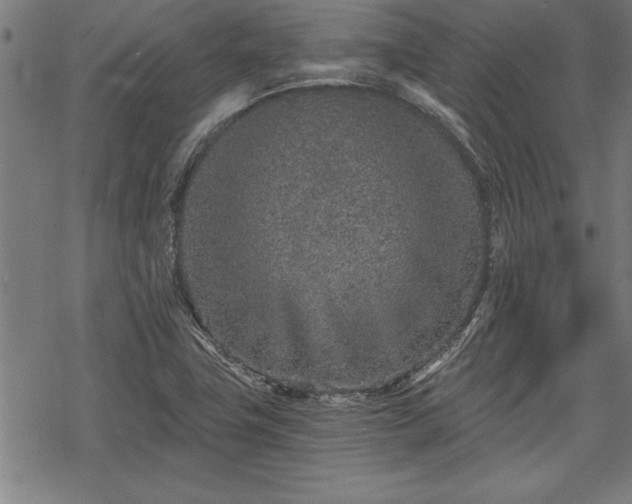 X0000069831411200605221155