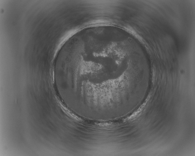 X0000069831413200605221155