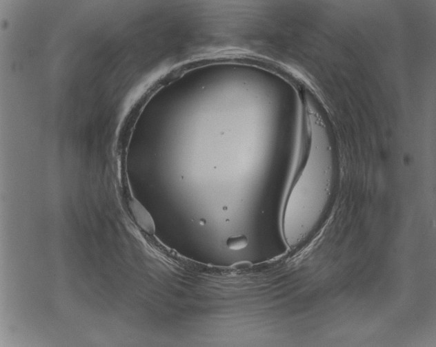 X0000069831414200605221155