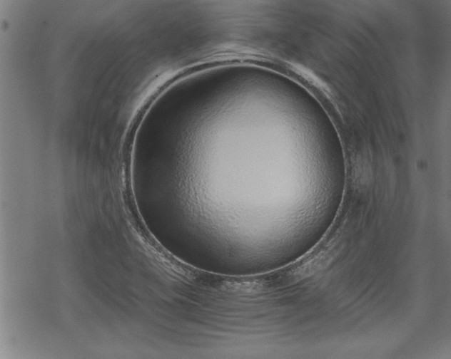 X0000069831415200605221155