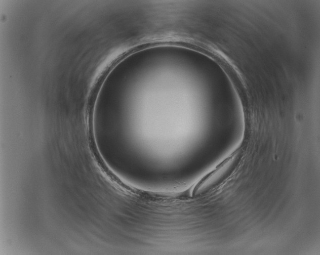 X0000069831416200605221155