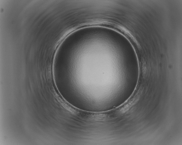 X0000069831417200605221155