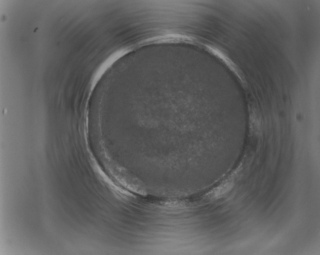 X0000069831418200605221155