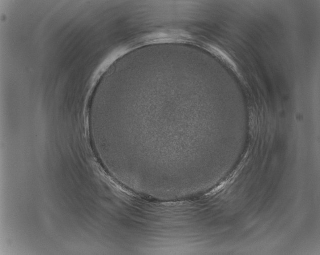 X0000069831419200605221155