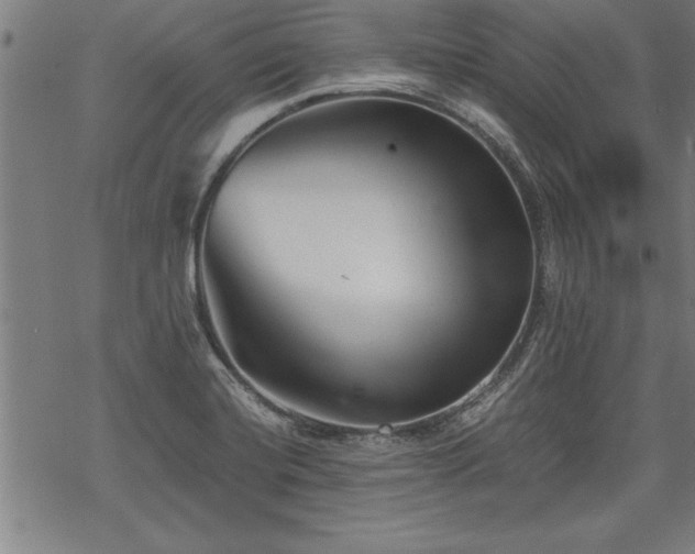 X0000069831420200605221155