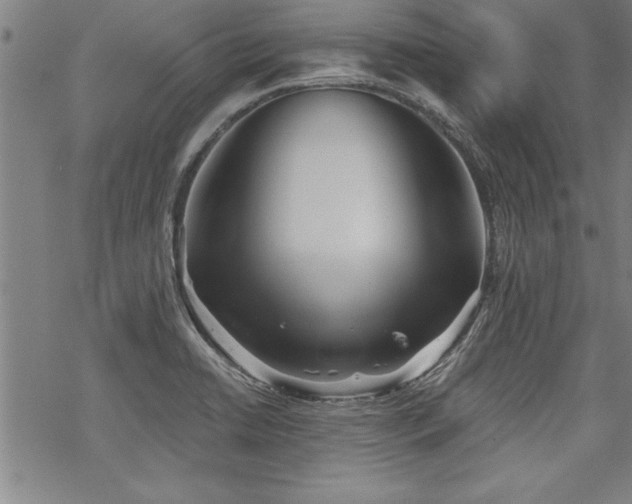 X0000069831422200605221155