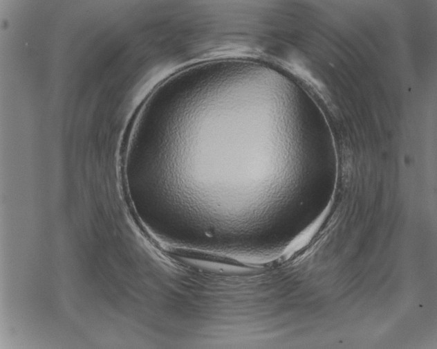 X0000069831423200605221155