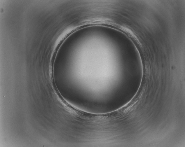 X0000069831424200605221155