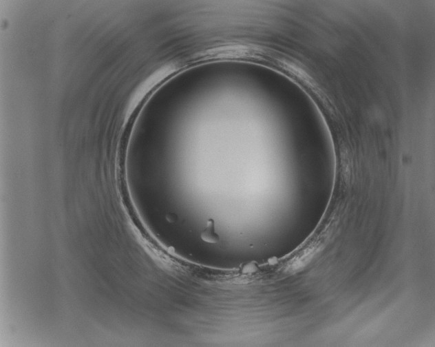 X0000069831426200605221155