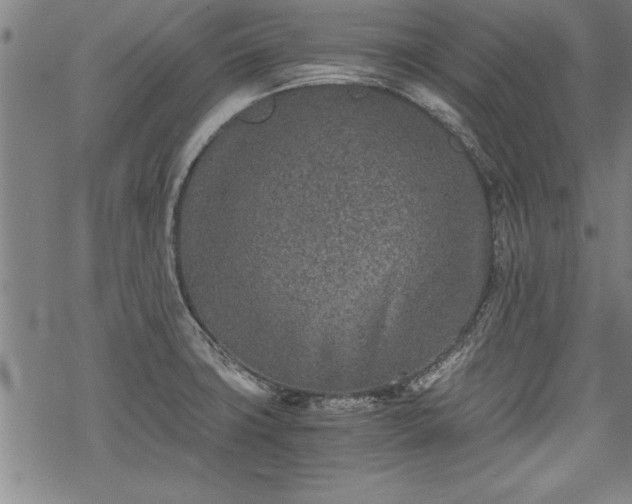 X0000069831427200605221155