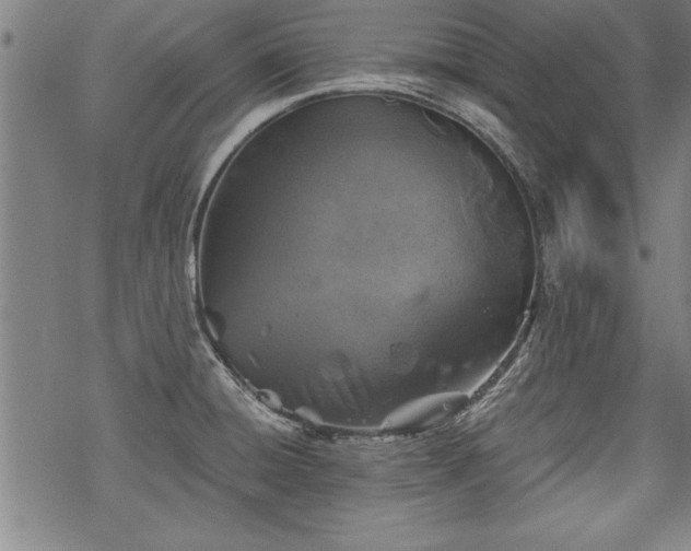 X0000069831428200605221156