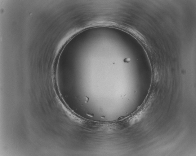 X0000069831430200605221156