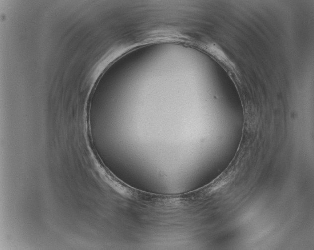 X0000069831431200605221156