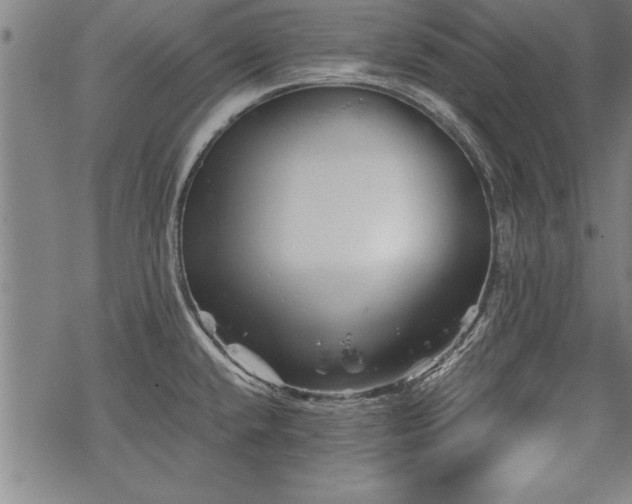 X0000069831432200605221156