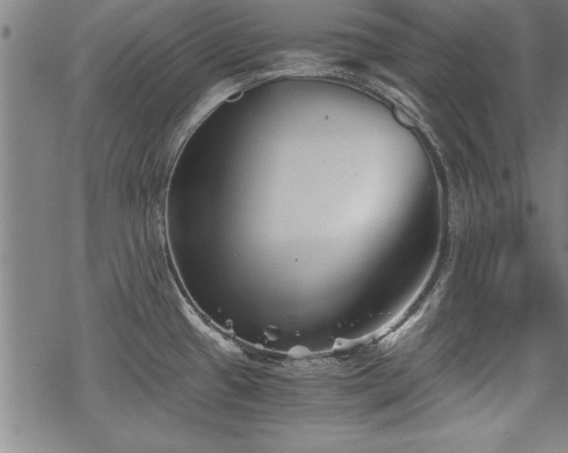 X0000069831433200605221156