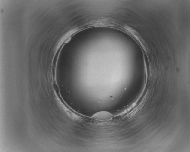 X0000069831434200605221156