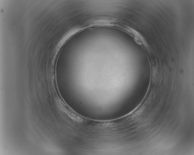 X0000069831435200605221156