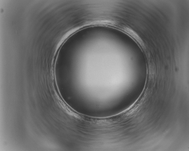 X0000069831436200605221156