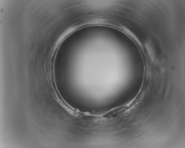 X0000069831437200605221156