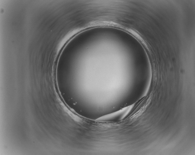 X0000069831438200605221156