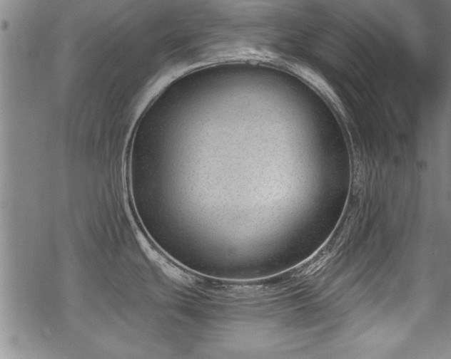 X0000069831439200605221156