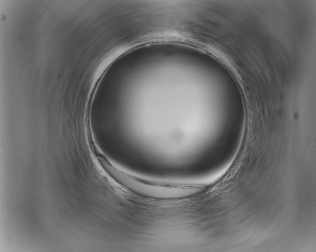 X0000069831440200605221156