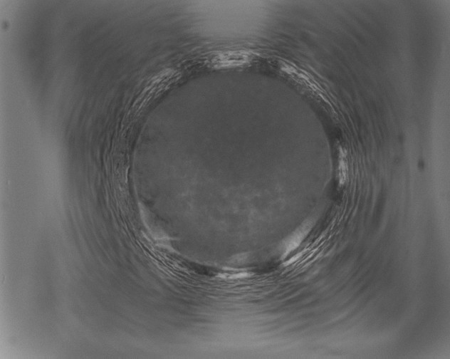 X0000069831441200605221155