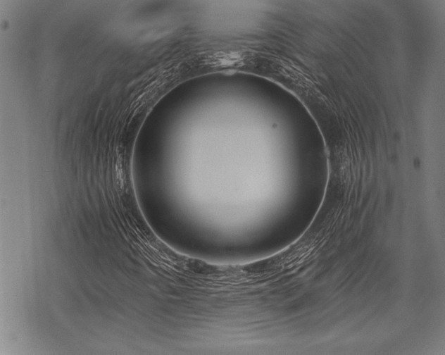 X0000069831442200605221155