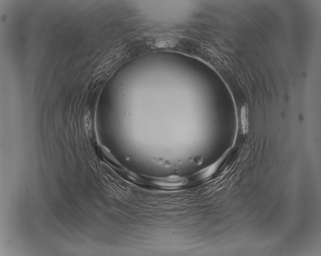 X0000069831443200605221155